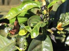 IMG_0063 IMG_0063