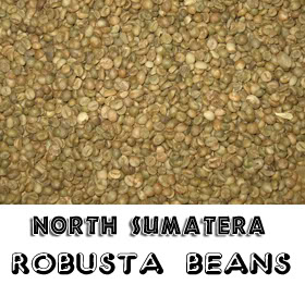 Indonesia_Robusta_Coffee_Beans