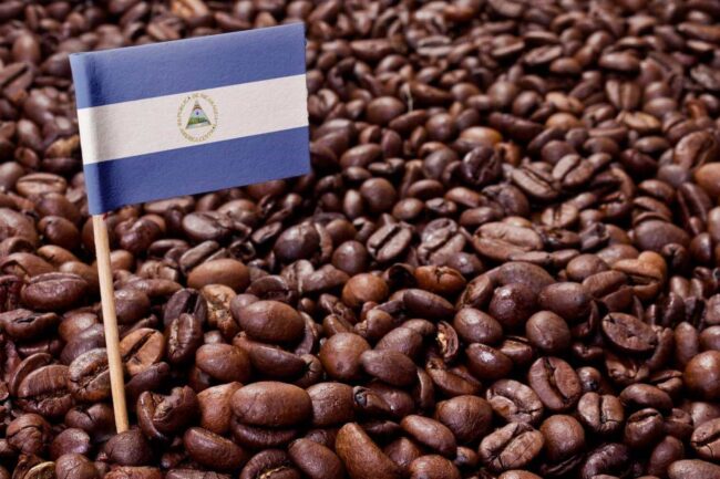 Tháng 3/08: Xuất khẩu cà phê của Nicaragua tăng 30%