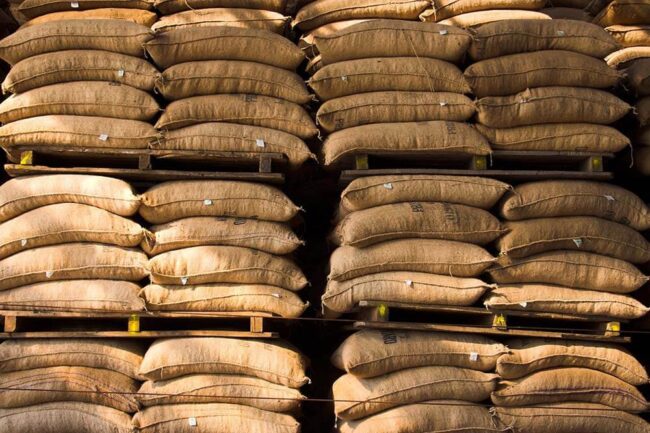 Thặng dư cà phê trong năm 2009-2010 có thể sẽ đạt 12.4 triệu bao