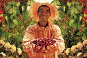 philippine_coffee_farmer