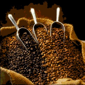 india-coffee