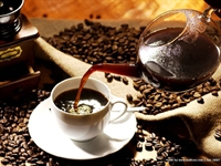 coffee-export