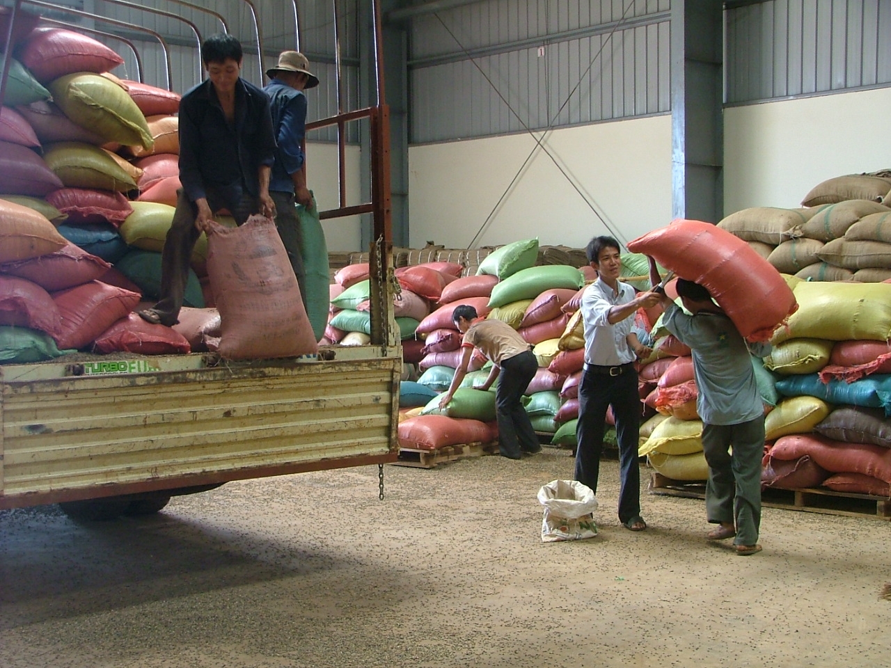 Đắk Lắk: Dành 7.805 tỷ đồng cho vay thu mua cà phê trong vụ mới