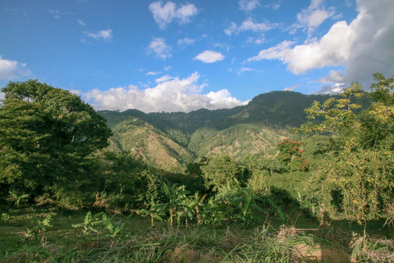 Vùng núi Blue Mountain, Saint Andrew, Jamaica