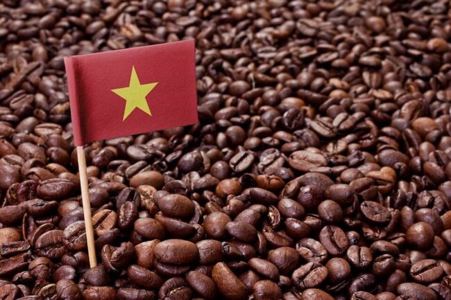 Ngành cà phê Việt Nam: Tăng vốn, nâng chất lượng