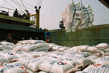 Xuất khẩu nông sản quý 1: Chỉ gạo mất giá