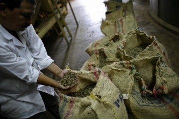 Colombia: xuất khẩu cà phê tháng 9/2019 giảm 7,88%