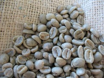 green_coffee_export_form