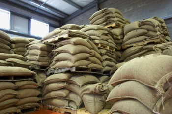 Bags of coffee beans