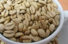 monsooned-malabar-coffee-beans