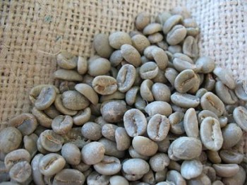 green_coffee_export