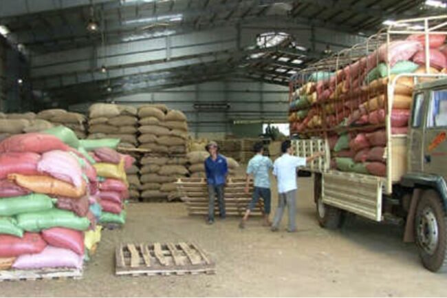 Thống nhất mua tạm trữ ít nhất 300.000 tấn cà phê ngay từ đầu vụ