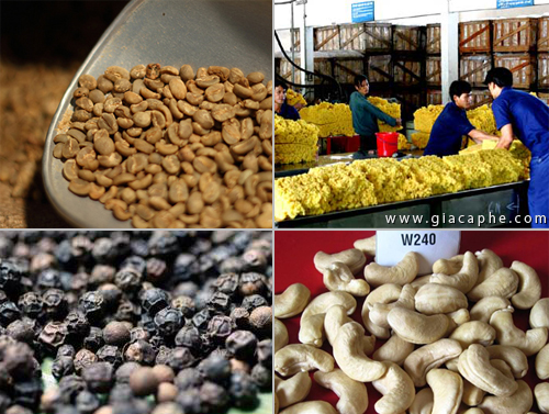 Nông sản xuất khẩu, cà phê, hồ tiêu, cao su