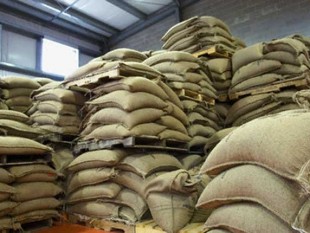 Xuất khẩu cà phê của Braxin giảm 7,6% trong tháng 11