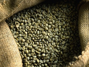 Cà phê xuất khẩu Việt Nam đang được cộng thêm 70USD/tấn