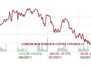 Thị trường cà phê 2011: Phú quý giật lùi