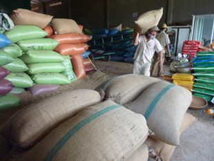 Vicofa: Xuất khẩu cà phê niên vụ 2012/13 có thể giảm 13%
