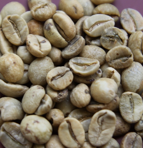 Việt Nam vẫn là cường quốc cung cấp cà phê nguyên liệu.