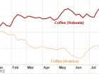 Thị trường cà phê năm 2012