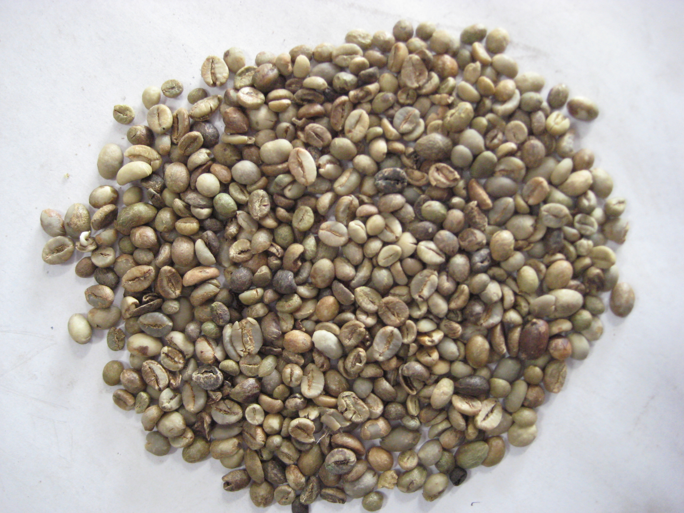 Cà phê Robusta vùng Nam Sumatra của Indonesia sẽ giảm 1,1%