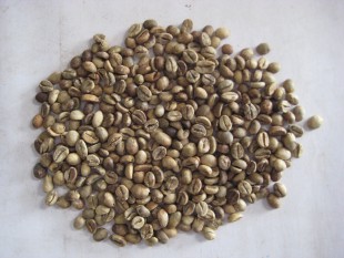 Indonesia : Xuất khẩu cà phê từ Sumatra giảm mạnh do hàng tồn kho đã cạn