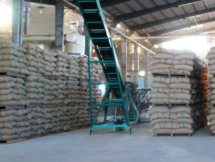Việt Nam: Xuất khẩu cà phê tháng Tư giảm 12,4%