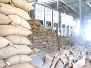 Vicofa kiến nghị cho nông dân vay để trữ cà phê, hồ tiêu