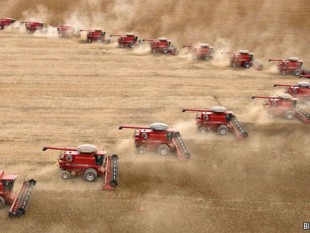 Brazil: tăng ngân sách nông nghiệp, ưu tiên xây dựng kho bãi