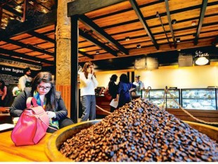 TaTa Coffee lên kế hoạch đầu tư thêm 300 triệu Rupee để phát triển thị trường