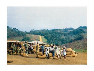 Angola: Chính phủ cam kết hỗ trợ cho nông dân sản xuất cà phê