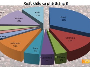 Xuất khẩu cà phê của Việt Nam giảm 14% trong tháng 8