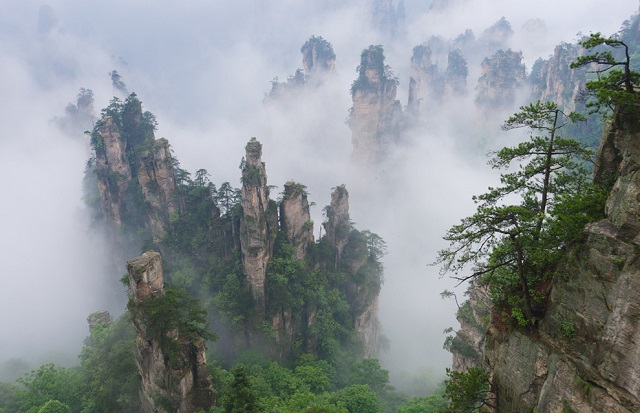 Núi Tianzi ở Trung Quốc