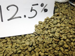 Độ ẩm chuẩn trong mua bán cà phê là bao nhiêu?