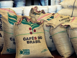 “Mưa vàng” ở Brazil khiến giá cà phê giảm mạnh