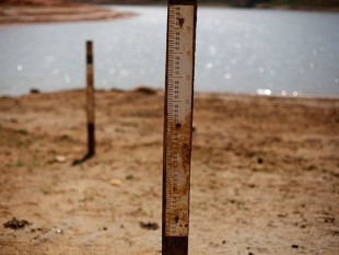 Brazil khô hạn, đẩy giá đến mức cao 19 năm qua