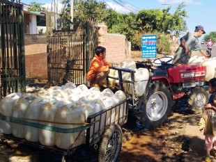 [Ảnh] Khô hạn: nông dân Di Linh chở từng can nước cứu cà phê