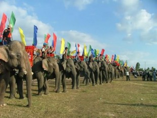 Lễ hội đua voi ở Đắk Lắk sẽ diễn ra từ ngày 12 đến 14/03/2014
