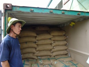 Việt Nam: xuất khẩu cà phê tháng 12/2018 giảm 6,12%