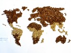world coffee map