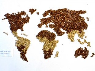 (21-06-2015) Cả thế giới được mùa cà phê, tồn kho vẫn giảm.