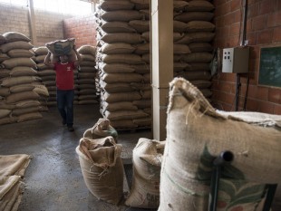Brasil: Xuất khẩu cà phê tháng 11/2018 tiếp tục lập mức kỷ lục mới