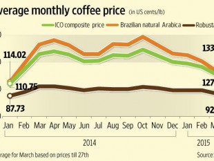 (03-06-2015) Nhiều yếu tố hỗ trợ giúp giá cà phê tăng