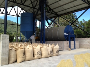 Giá cà phê robusta tăng nhờ sức bán giảm (ngày 11/11/2015)