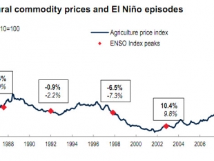 Bài 3: Liệu đợt El Nino hiện nay có giúp đẩy giá hàng hóa nông sản thế giới lên cao?