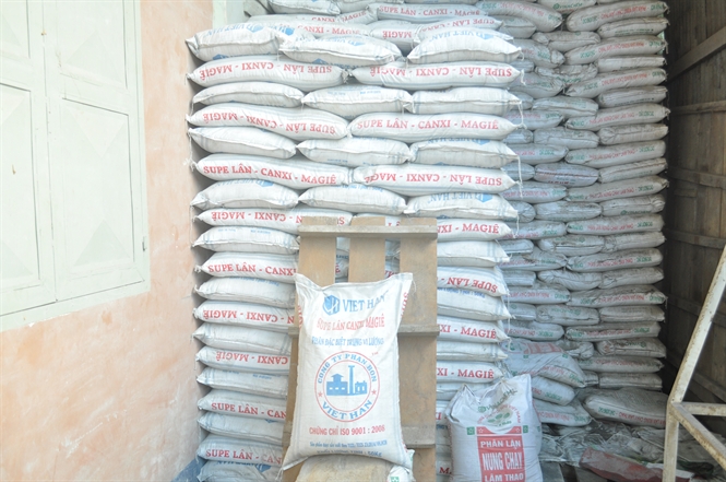 Hầu hết các sản phẩm phân bón trung vi lượng nhái phân lân được bán trực tiếp tại các đại lý cấp 2, cấp 3.