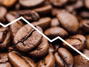 Giá cà phê ngày 15/06/2021: hai sàn giảm sâu 