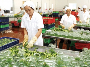Xuất khẩu nông sản: Nên kết nối với doanh nghiệp Việt kiều