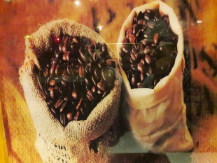 (01-11-2016) Giá cà phê nội địa tạm thời chia tay 45.000 đồng/kg