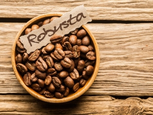 Cà phê robusta đang bị định giá tương đối thấp